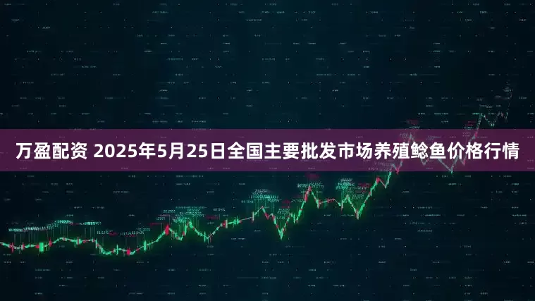 万盈配资 2025年5月25日全国主要批发市场养殖鲶鱼价格行情