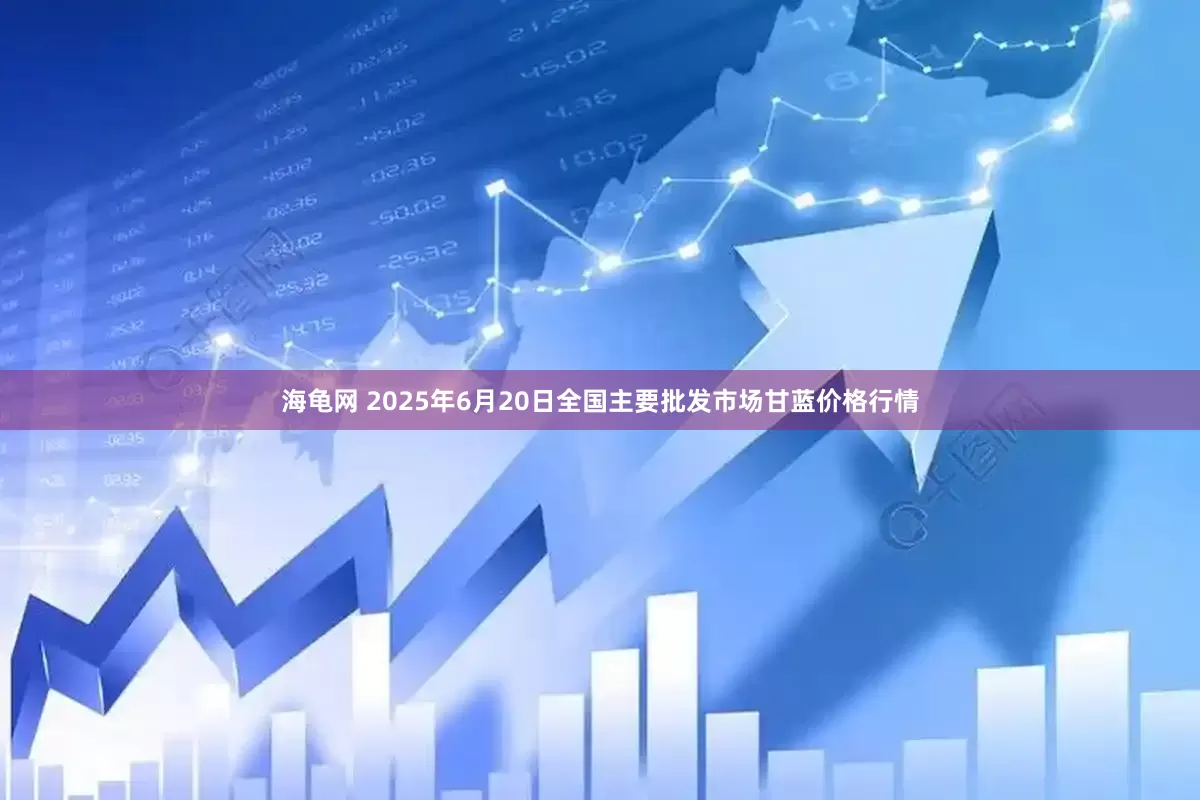 海龟网 2025年6月20日全国主要批发市场甘蓝价格行情
