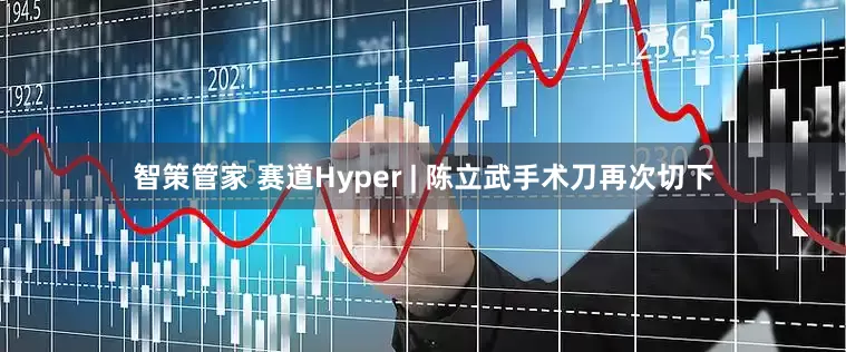 智策管家 赛道Hyper | 陈立武手术刀再次切下
