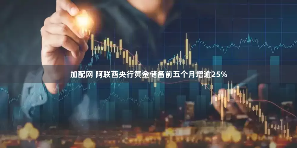 加配网 阿联酋央行黄金储备前五个月增逾25%