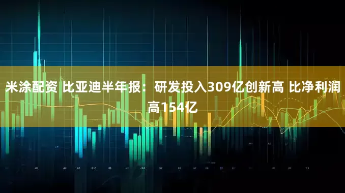 米涂配资 比亚迪半年报：研发投入309亿创新高 比净利润高154亿