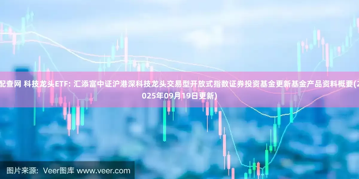 配查网 科技龙头ETF: 汇添富中证沪港深科技龙头交易型开放式指数证券投资基金更新基金产品资料概要(2025年09月19日更新)